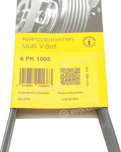 Continental 6PK1005