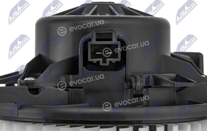 NTY EWN-PL-003