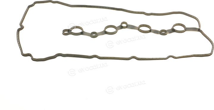 Elring 855.060