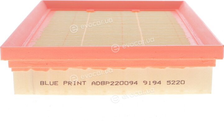 Blue Print ADBP220094