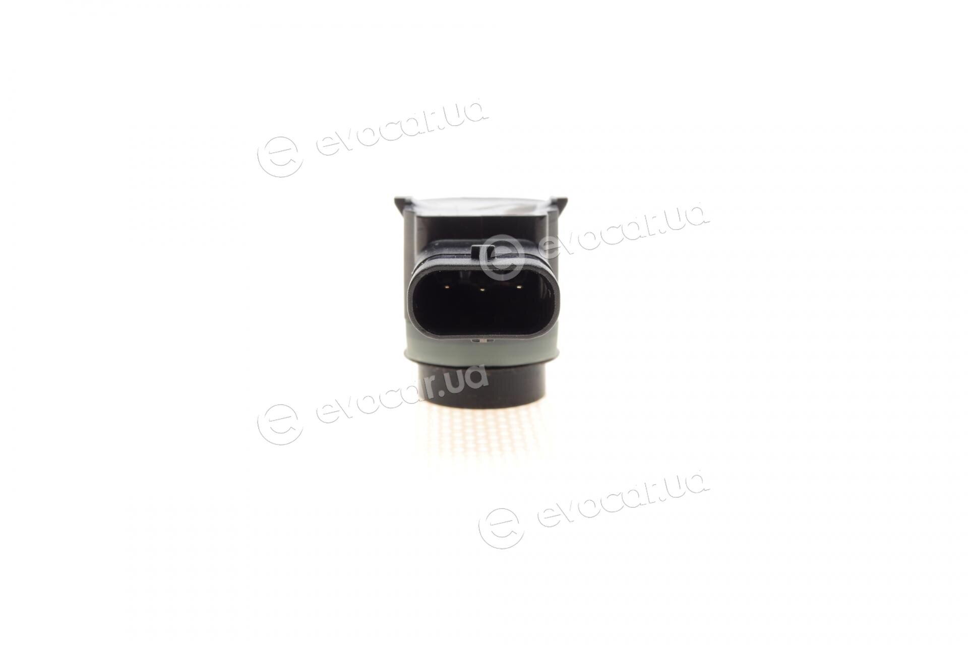 AIC 55344