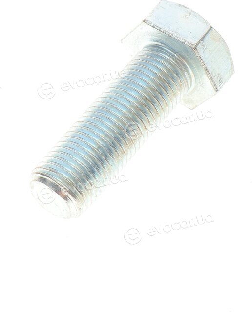 Solgy 203100
