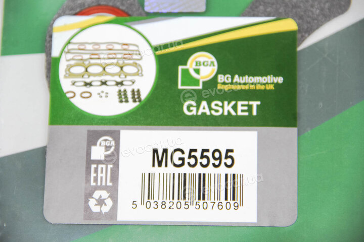 BGA MG5595
