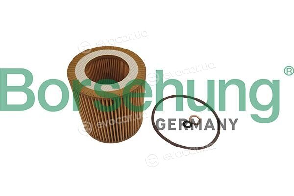 Borsehung B10469