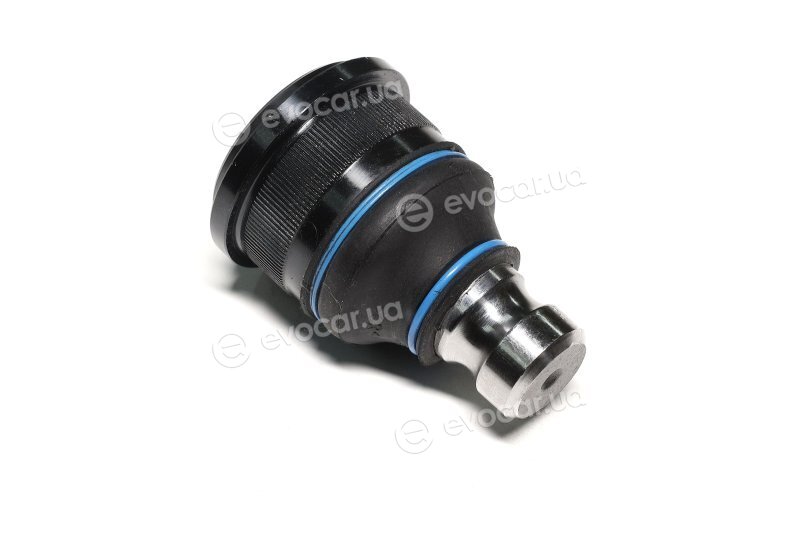 Sasic 4005276