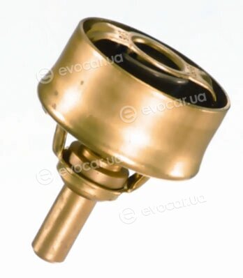 Wahler / BorgWarner 3029.92