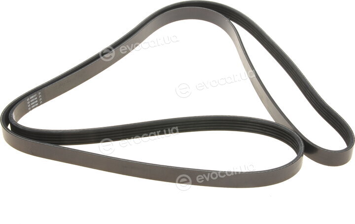 Dayco 5PK2030