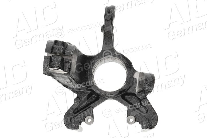AIC 57196