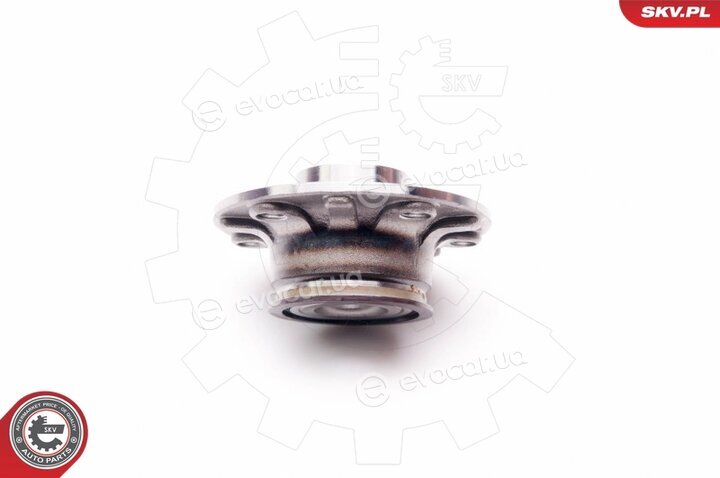 SKV 29SKV011