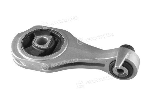 Tedgum TED82862