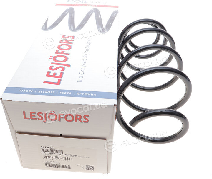 Lesjofors 4015669