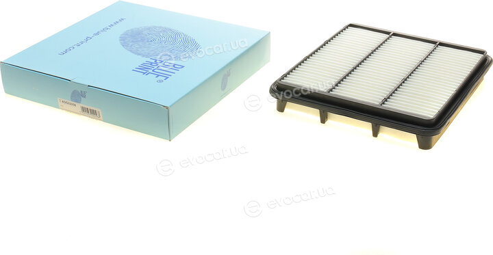 Blue Print ADG02256