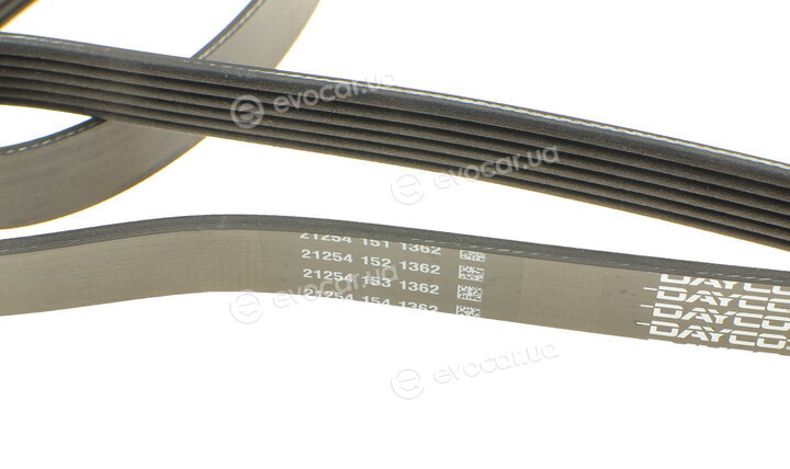Dayco 6PK1900