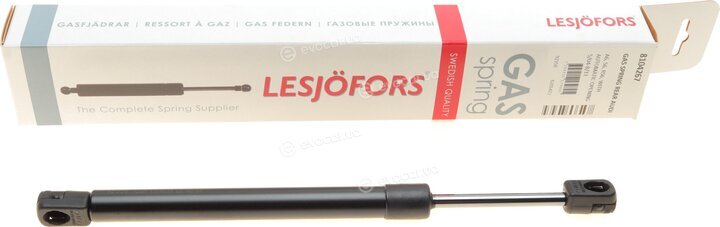Lesjofors 8104267