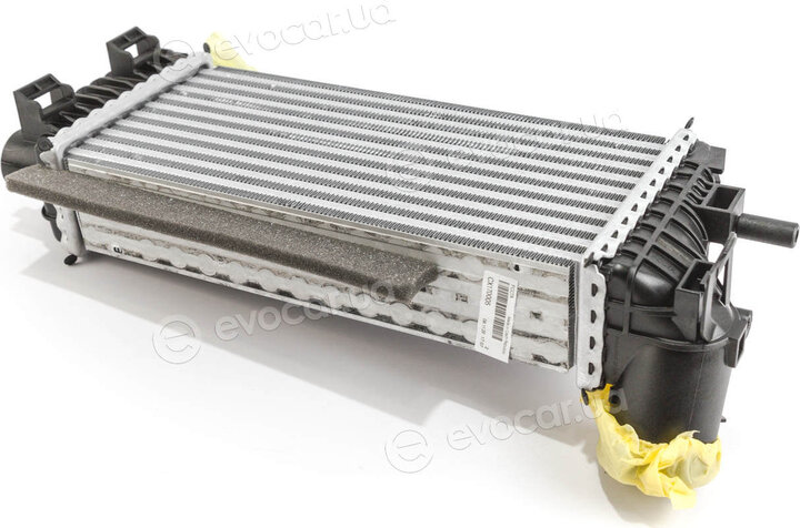 Mahle CI 245 000P