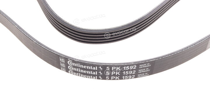 Continental 5PK1592
