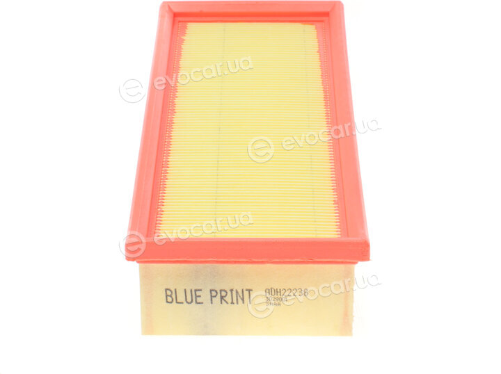 Blue Print ADH22238