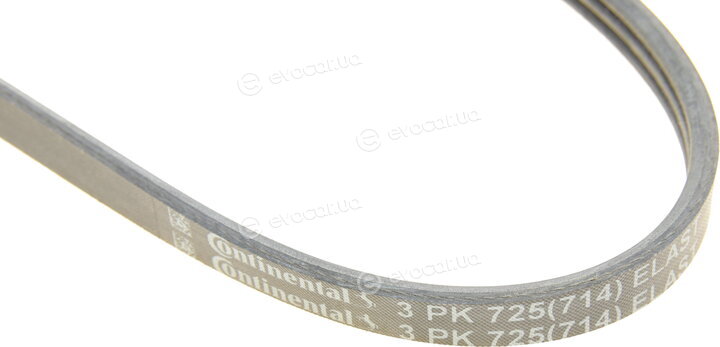 Continental 3PK725 ELAST