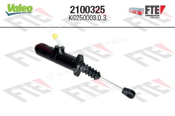 FTE 2100325