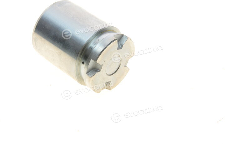 Frenkit P384904