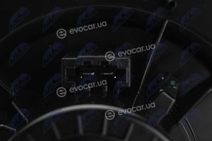 NTY EWN-VW-002