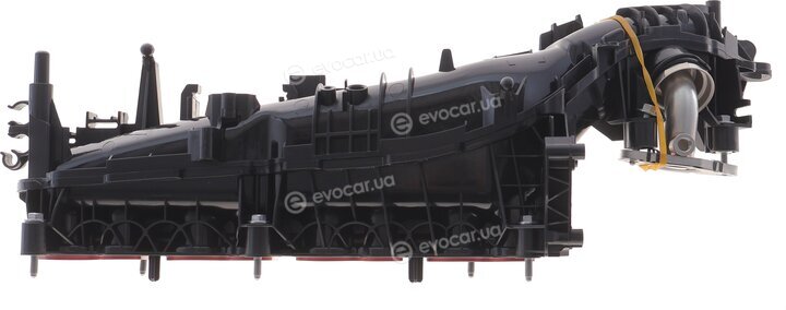 Solgy 114266