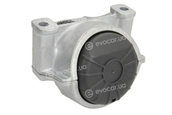 Reinhoch RH11-0080