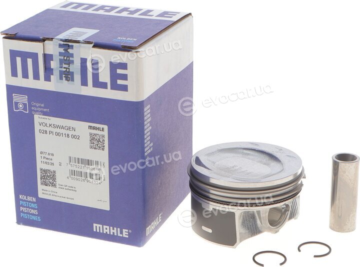 Mahle 028 PI 00118 002