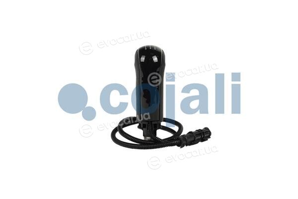 Cojali 2880267