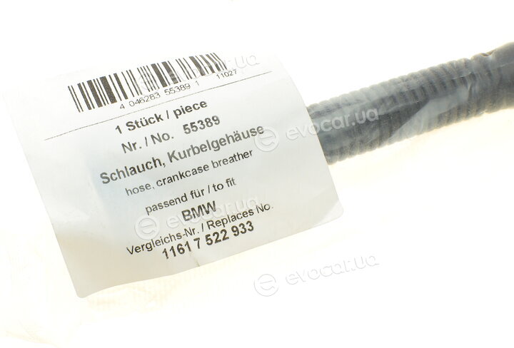 AIC 55389