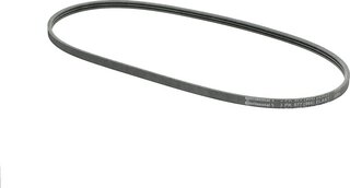Continental 3PK977 ELAST