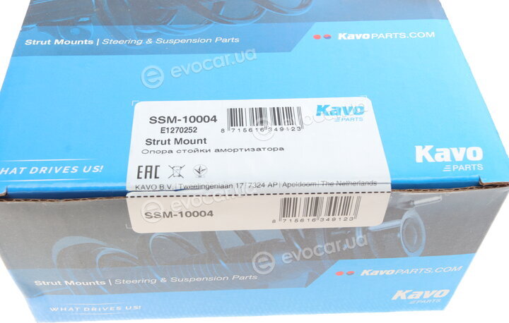 Kavo SSM-10004