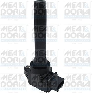 Meat & Doria 10823