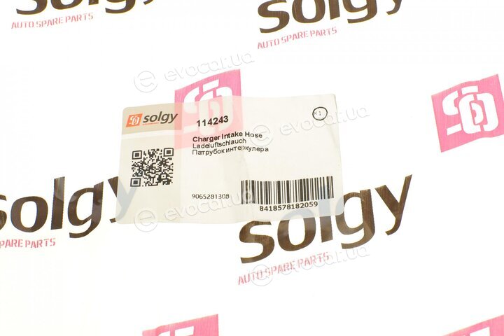 Solgy 114243