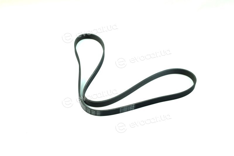 Continental 6PK1564