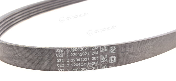 Continental 5PK1166 EXTRA