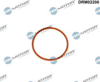 Dr. Motor DRM02206