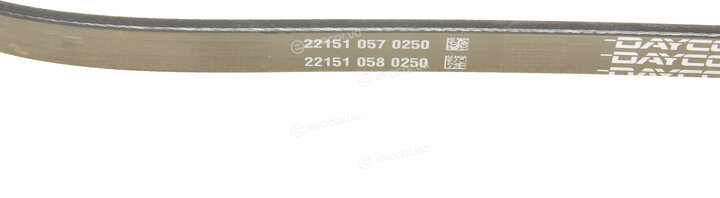 Dayco 4PK910