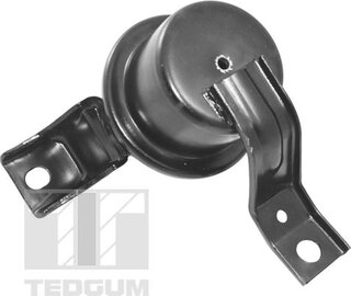 Tedgum TED10622