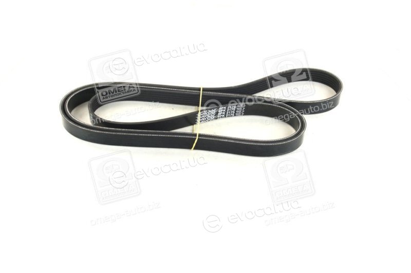 Dayco 6PK2175