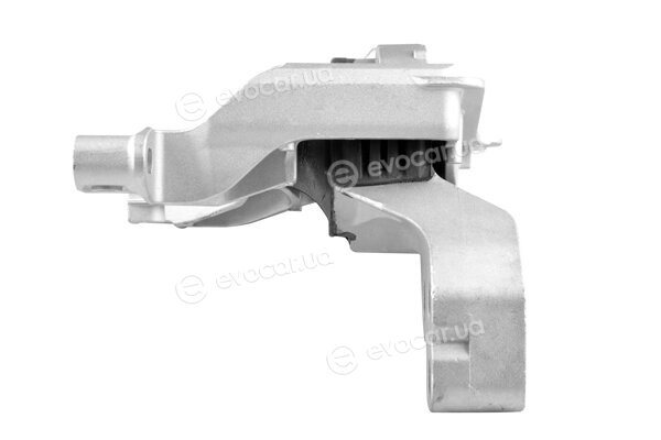Tedgum TED96317