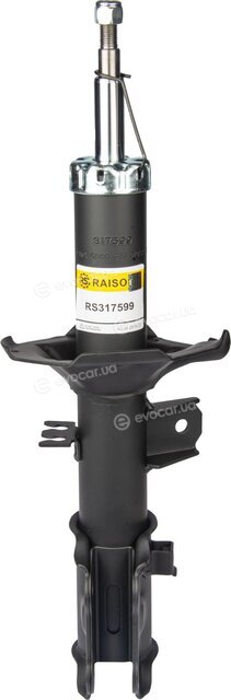 Raiso RS317599