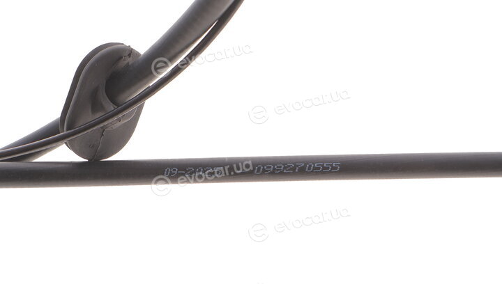 Solgy 219037
