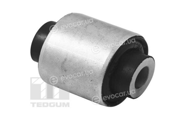 Tedgum TED21100