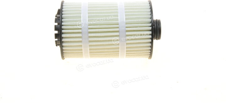 Borsehung B10519