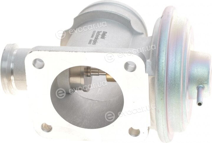 Delphi EG10464