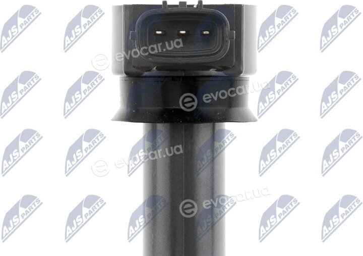 NTY ECZ-MS-020