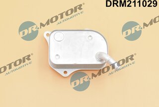 Dr. Motor DRM211029