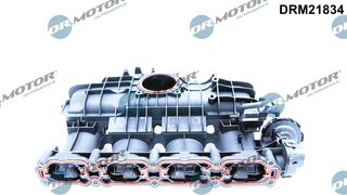 Dr. Motor DRM21834