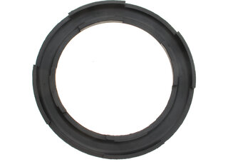 GSP 538959